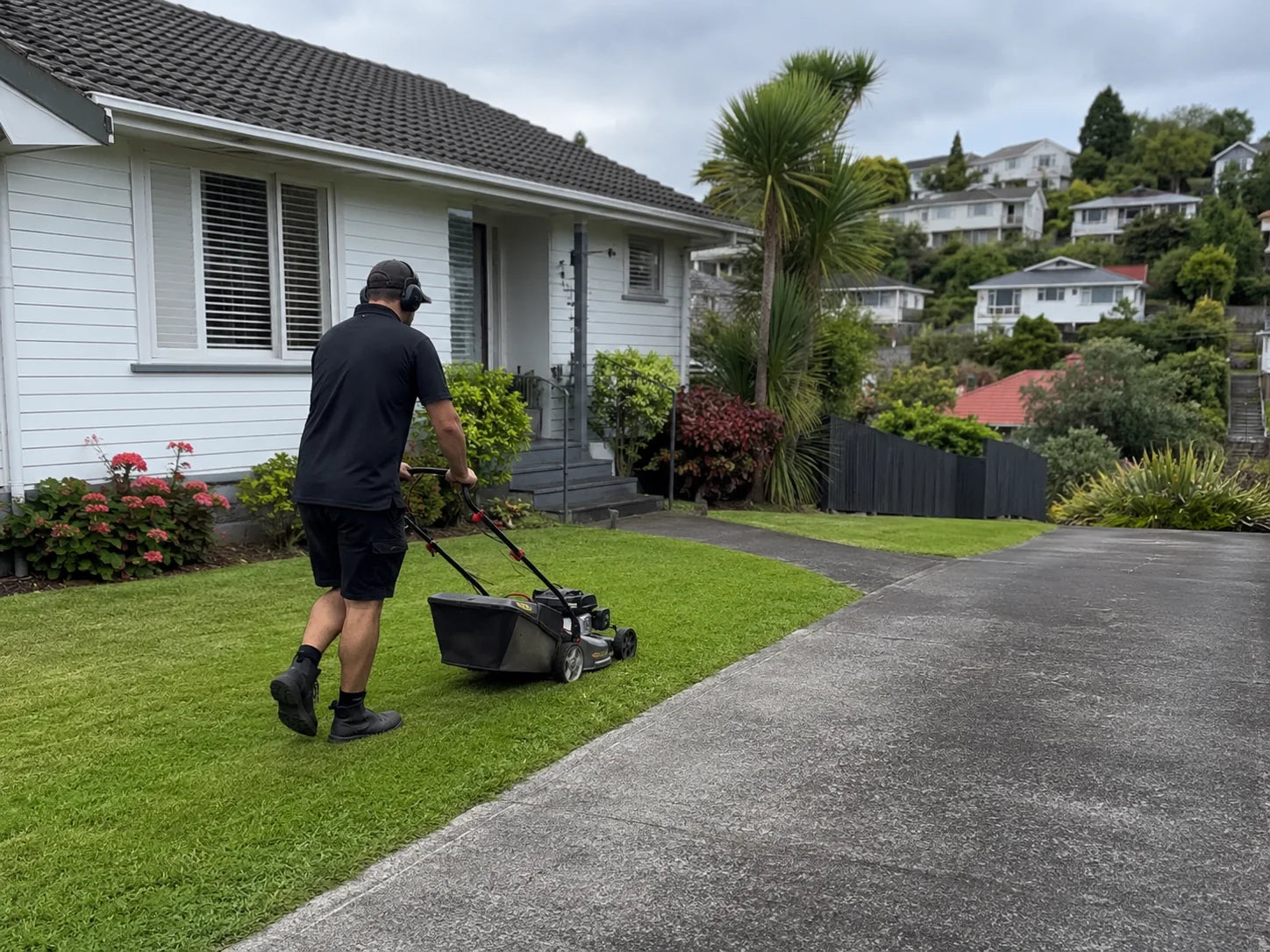 Representative Auckland lawn care service